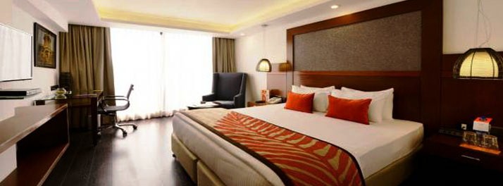 549/Citrus Cunningham - Bengaluru 09.jpg